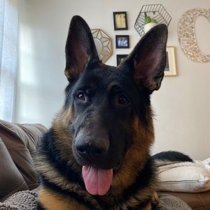 Meet your Posher, Jeremy